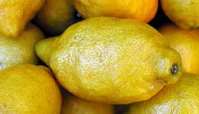 webboulevard-kookkunst citroen