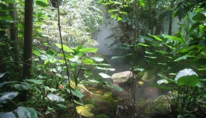 rainforest webboulevard online Magazinegroen en duurzaam